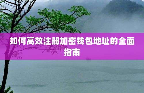 如何高效注册加密钱包地址的全面指南