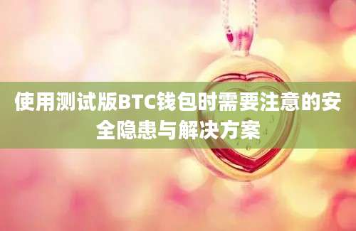 使用测试版BTC钱包时需要注意的安全隐患与解决方案