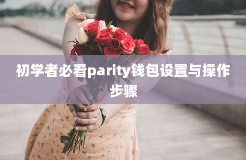 初学者必看parity钱包设置与操作步骤