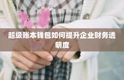 超级账本钱包如何提升企业财务透明度