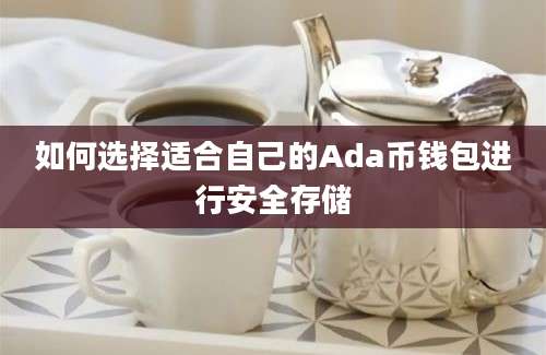 如何选择适合自己的Ada币钱包进行安全存储