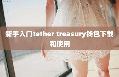 新手入门tether treasury钱包下载和使用