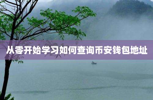 从零开始学习如何查询币安钱包地址