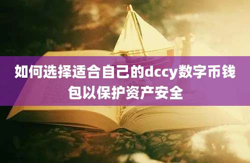 如何选择适合自己的dccy数字币钱包以保护资产安全