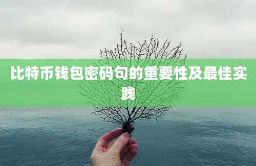 比特币钱包密码句的重要性及最佳实践