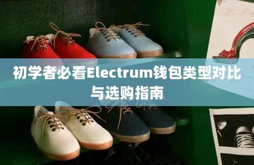 初学者必看Electrum钱包类型对比与选购指南