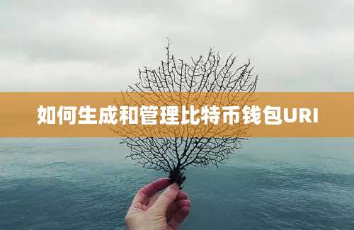 如何生成和管理比特币钱包URI