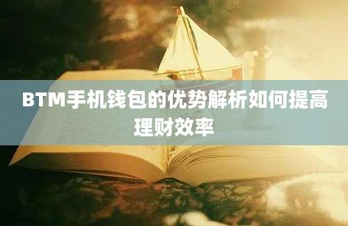 BTM手机钱包的优势解析如何提高理财效率