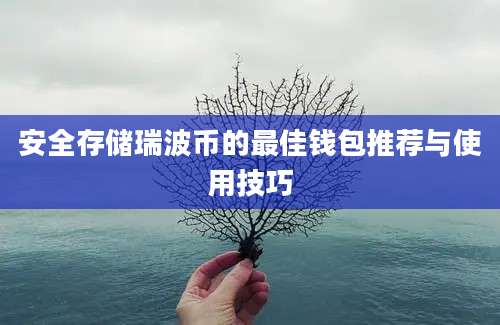 安全存储瑞波币的最佳钱包推荐与使用技巧