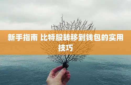 新手指南 比特股转移到钱包的实用技巧