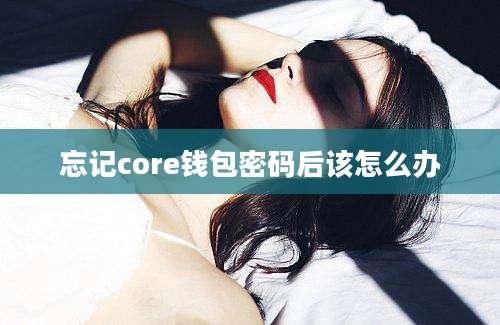 忘记core钱包密码后该怎么办