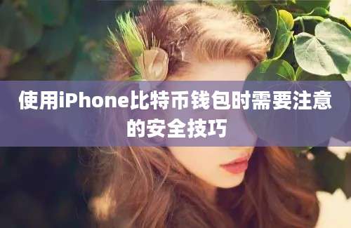 使用iPhone比特币钱包时需要注意的安全技巧