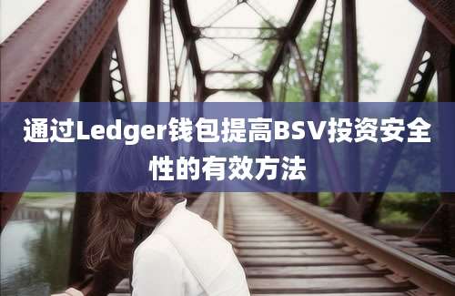 通过Ledger钱包提高BSV投资安全性的有效方法