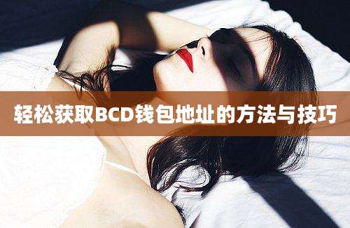 轻松获取BCD钱包地址的方法与技巧