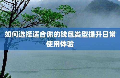 如何选择适合你的钱包类型提升日常使用体验