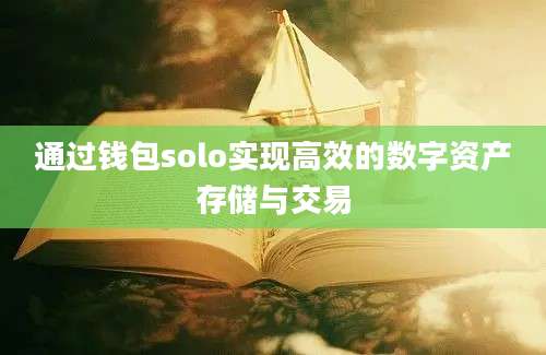 通过钱包solo实现高效的数字资产存储与交易