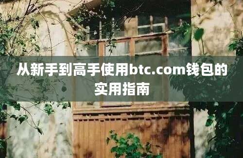 从新手到高手使用btc.com钱包的实用指南