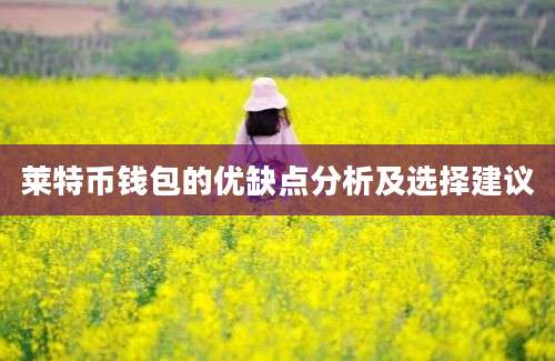 莱特币钱包的优缺点分析及选择建议