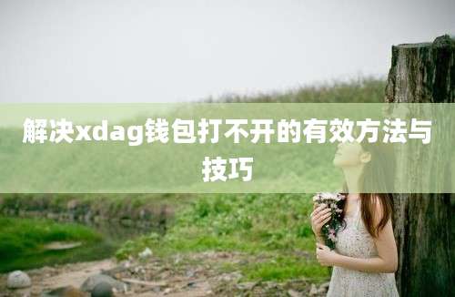 解决xdag钱包打不开的有效方法与技巧