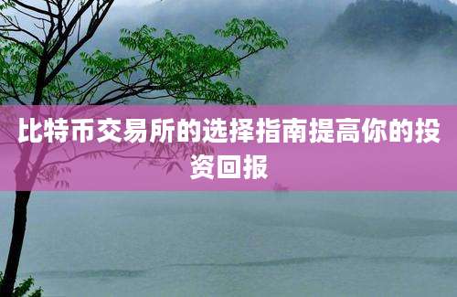 比特币交易所的选择指南提高你的投资回报