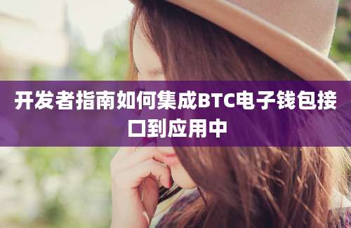 开发者指南如何集成BTC电子钱包接口到应用中