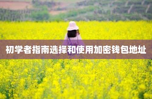 初学者指南选择和使用加密钱包地址